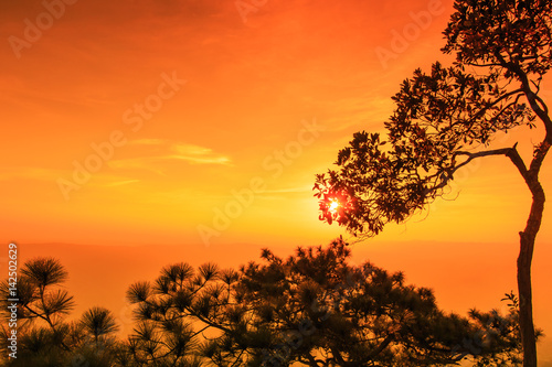 Lom Sak cliff at Phukradung national park in Thailand. The beautiful atmosphere in the sunset