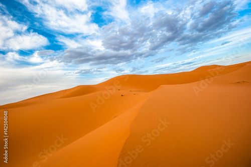 Sand dunes of Erg Chebbi, Morocco © javarman