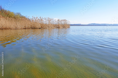 neuenburgersee  gampelen  schweiz 