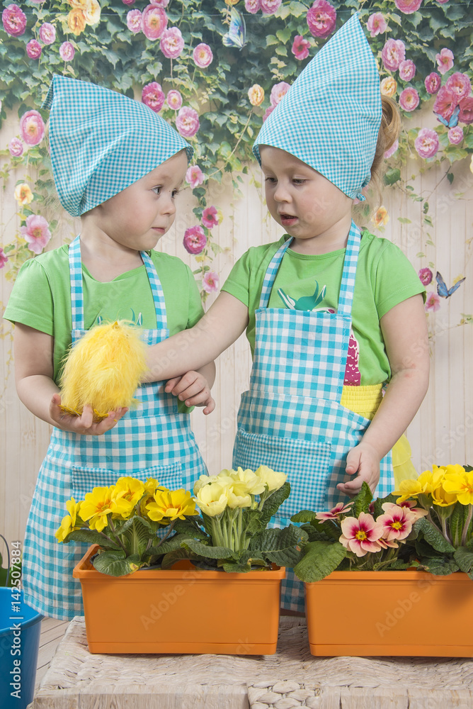 Two little adorable little girls play with yellow chicks Two little adorable little girls play with yellow chicks