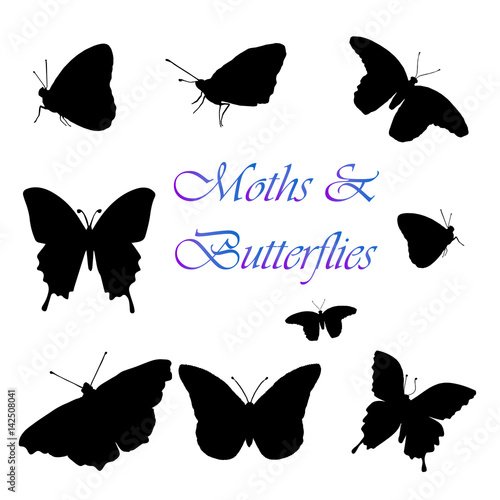 Moth-Butterfly Silhouettes