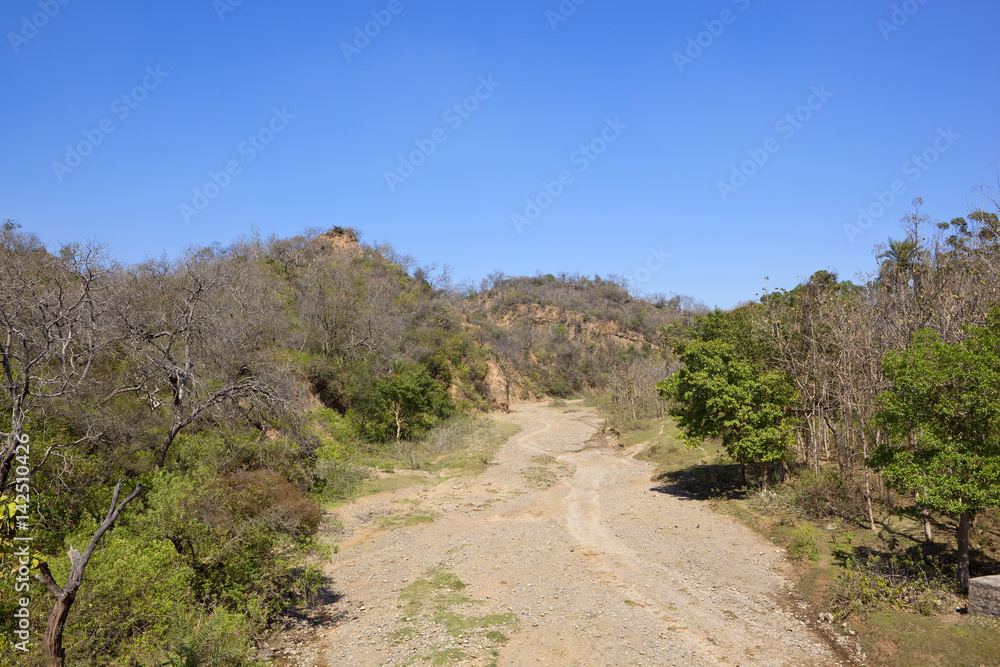 dry river bed in morni hills