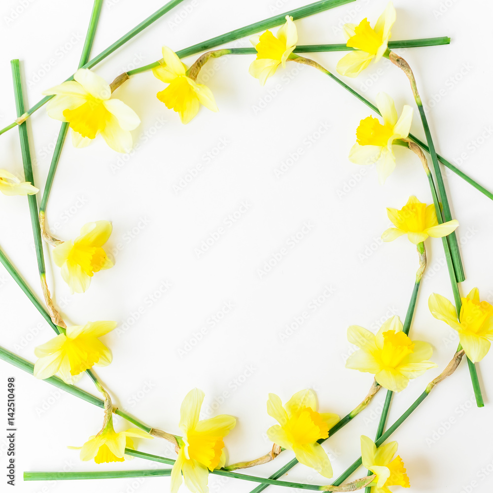 Floral background. Pattern of narcissus on white background. Flat lay, top view.