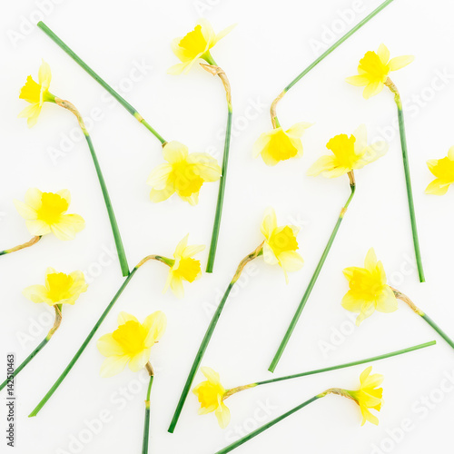 Pattern of narcissus on white background. Flat lay, top view. Floral background.