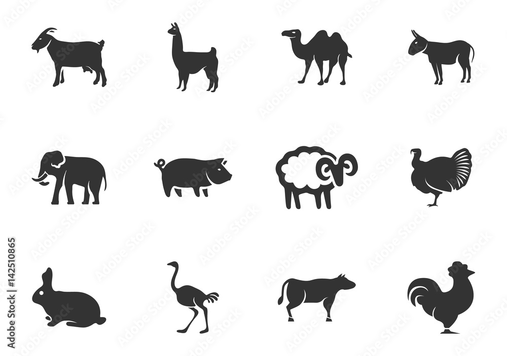 Fototapeta premium Zoo icons set