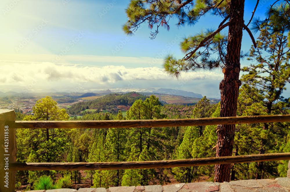 Beautiful view of El Teide National park. Pine forest, summer or spring landscape. Tenerife, Canary Islands, Spain.