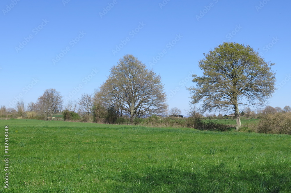 campagna campagna