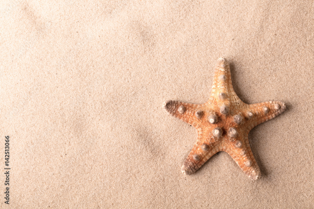 exotic tropical sea starfish on beach sand. Sandy texture background with star fish. Simmer time vacation concept. exotic tropical sea starfish on beach sand. Sandy texture background with star fish. Simmer time vacation concept.