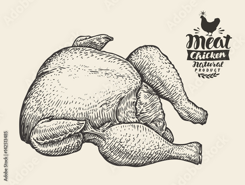 Hand drawn fresh chicken carcass, meat. Butcher shop, food sketch. Vintage vector illustration