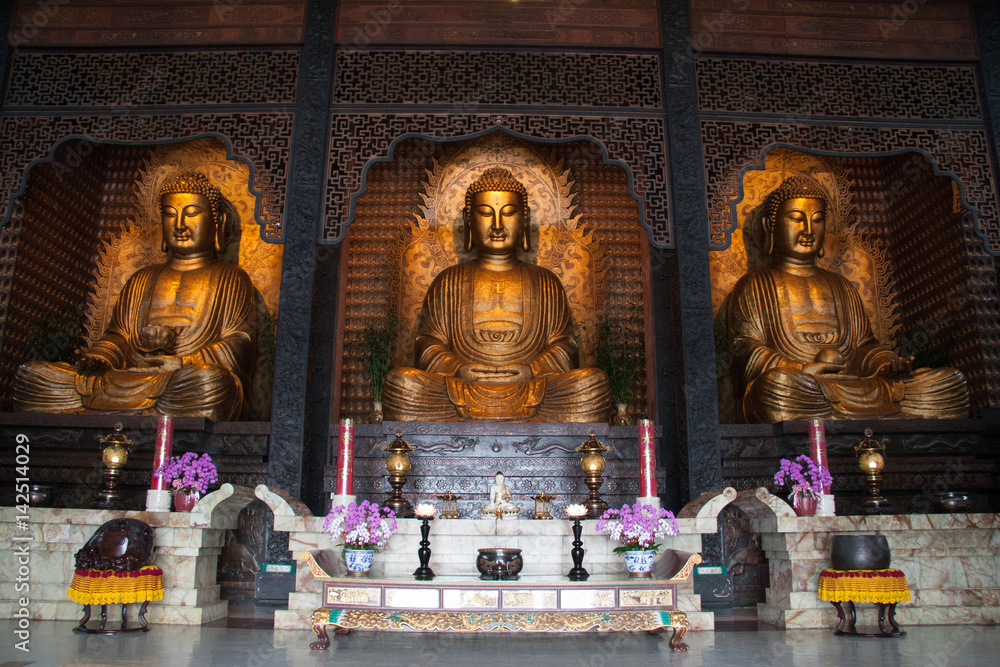 Obraz premium Praying at the temple with giant golden buddha statues