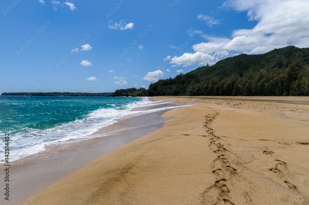 Sandy Beach in Hawaii