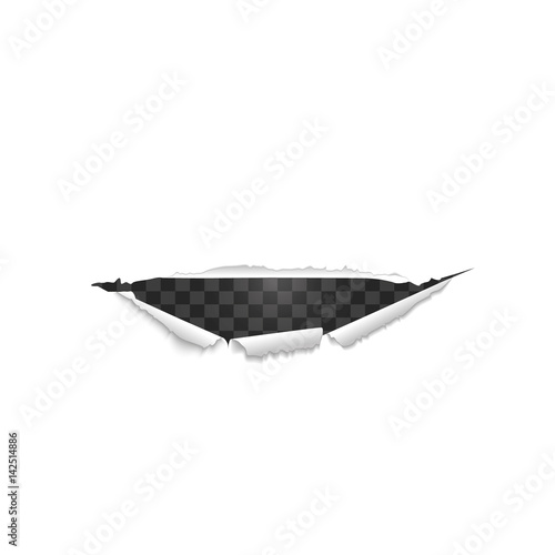 sheet of curled paper on a transparent background.  A hole in a white sheet.