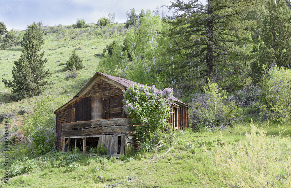 History of Silver City Idaho