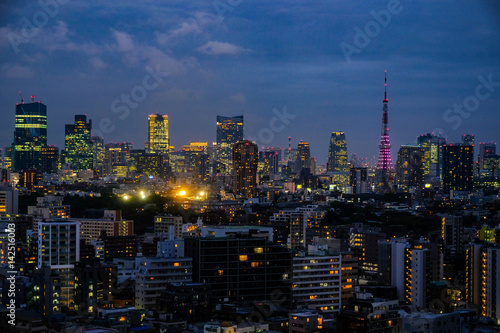 Tokyo skyline a night with a purple Tokyo Tower