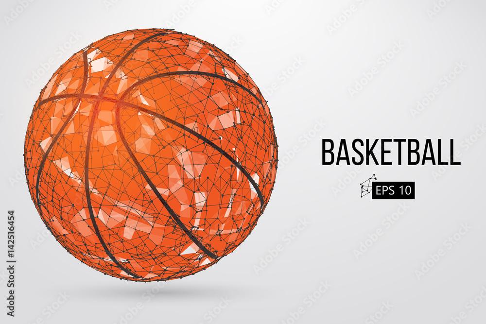 Fototapeta premium Silhouette of a basketball ball. Vector illustration