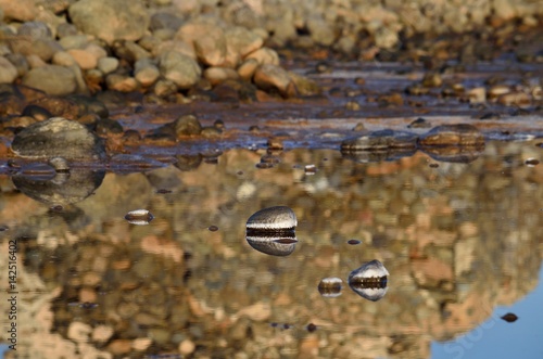 Reflexes in lagoon of saltwater next to the sea