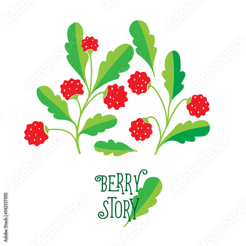 Hand drawn painting berry on white background.