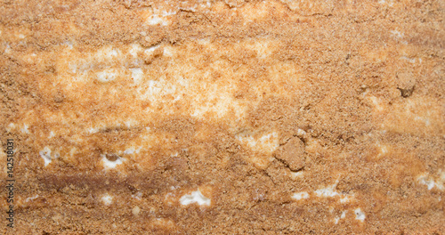 Textures and background of honey cake closeup