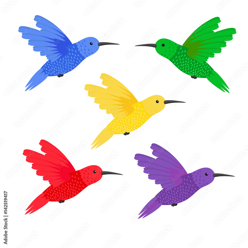 Fototapeta premium Set five small colorful bird hummingbird