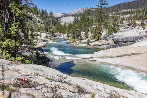 stream in the high sierra of california