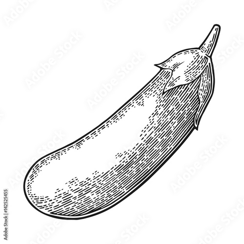 Eggplant. Vector black vintage engraved illustration isolated on white background