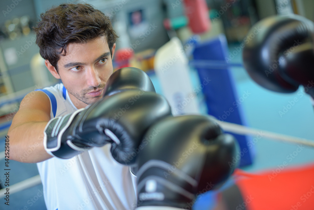 focused on the opponent focused on the opponent
