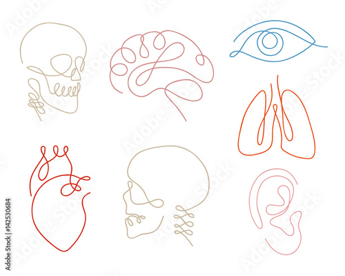 One line human organs set design silhouette.Logo design. Hand drawn minimalism style vector illustration.