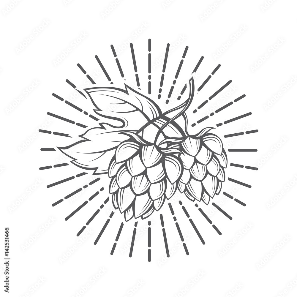 Fototapeta premium illustration of hops for brewing