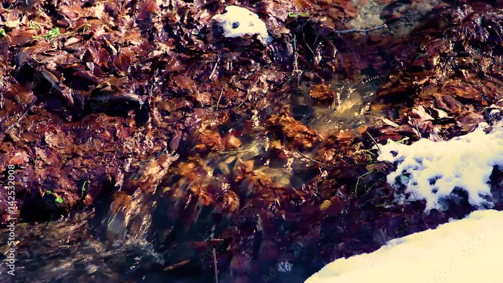 water flowing in the woods during the winter on a sunny day on the Italian Apennines mountains water flowing in the woods during the winter on a sunny day on the Italian Apennines mountains