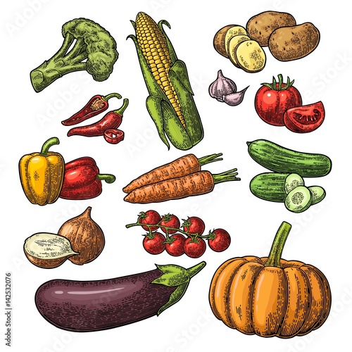 Set vegetables. Cucumbers, Garlic, Corn, Pepper, Broccoli, Potato and Tomato.