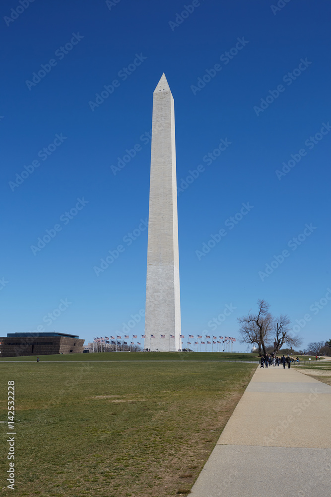 Obraz premium Washington Monument in the center of Washington DC