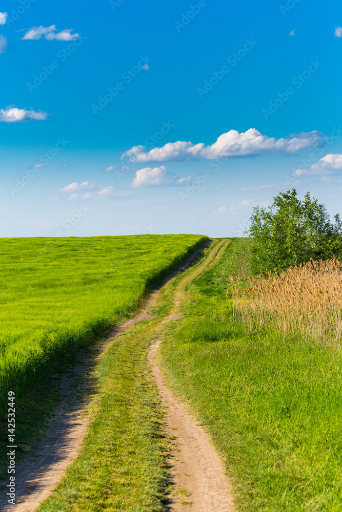 Abstract rural scenery in spring, with infinite horizon, bright colors, along natural lake with reed plants