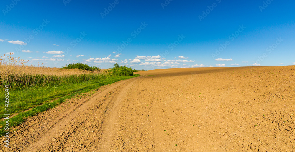 Abstract rural scenery in spring, with infinite horizon, bright colors, along natural lake with reed plants