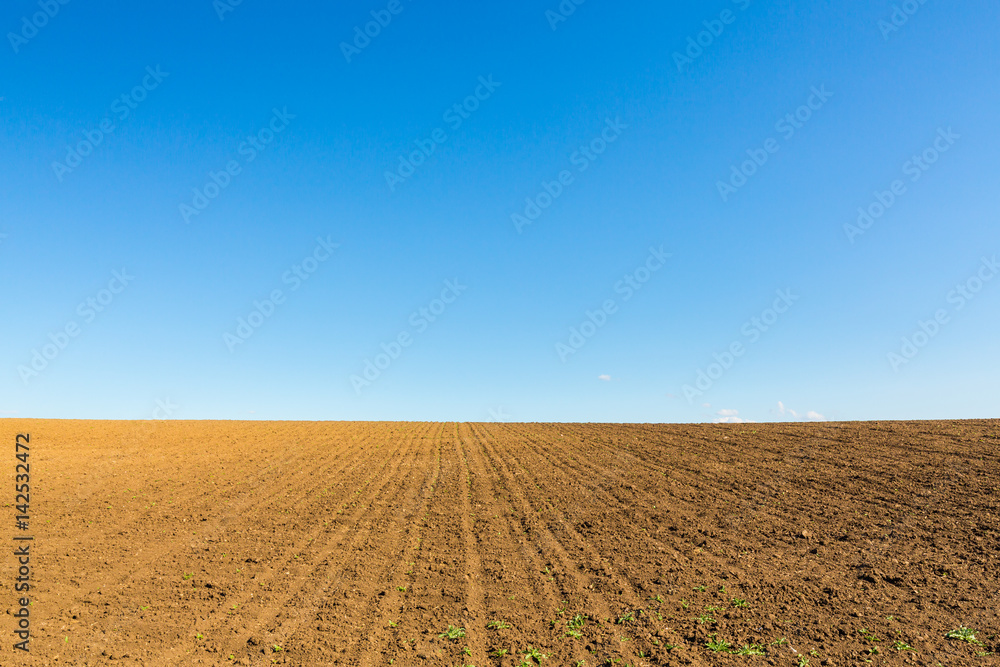 Abstract rural scenery in spring, with infinite horizon, bright colors, along natural lake with reed plants Abstract rural scenery in spring, with infinite horizon, bright colors, along natural lake with reed plants