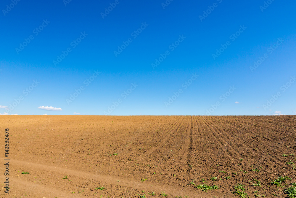 Abstract rural scenery in spring, with infinite horizon, bright colors, along natural lake with reed plants