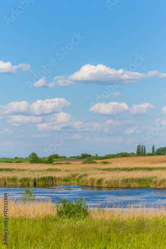 Abstract rural scenery in spring, with infinite horizon, bright colors, along natural lake with reed plants