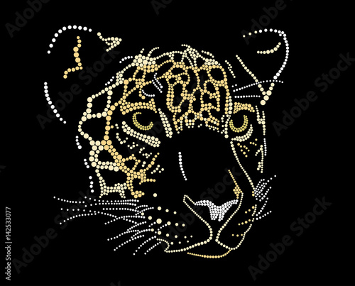 Muzzle of a jaguar
