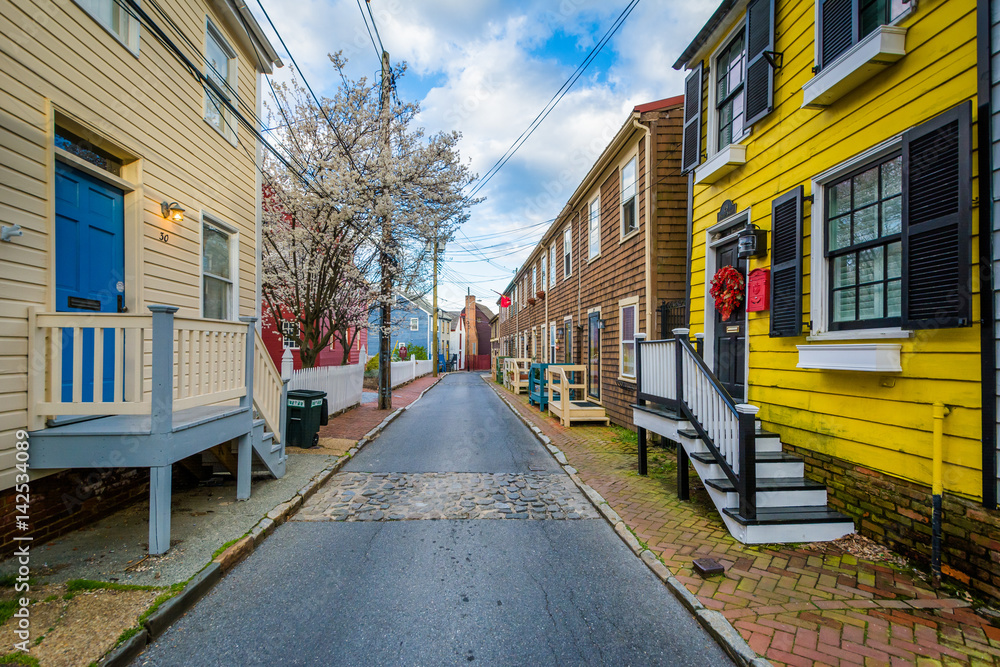 Houses along Pinkney Street, in Annapolis, Maryland.