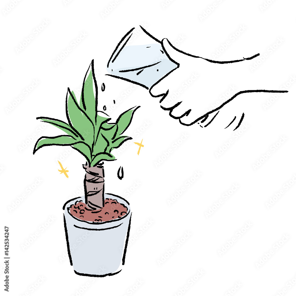 水やり イラスト Stock Vector Adobe Stock 水やり イラスト Stock Vector Adobe Stock
