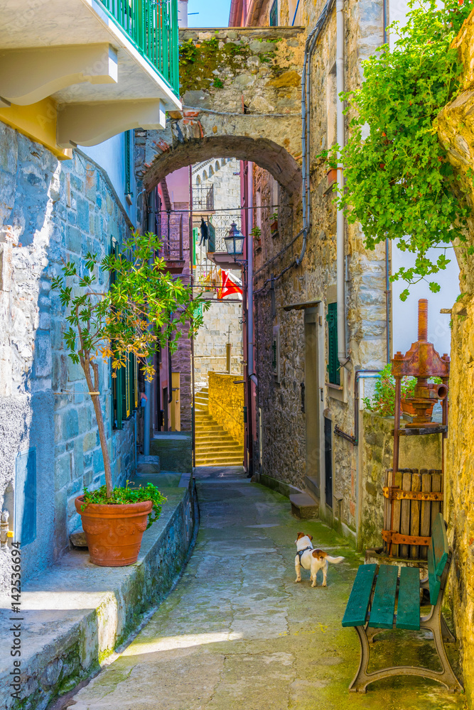 Fototapeta widok na wąską ulicę czekającą na turystów w Corniglia, Cinque Terre, Włochy.