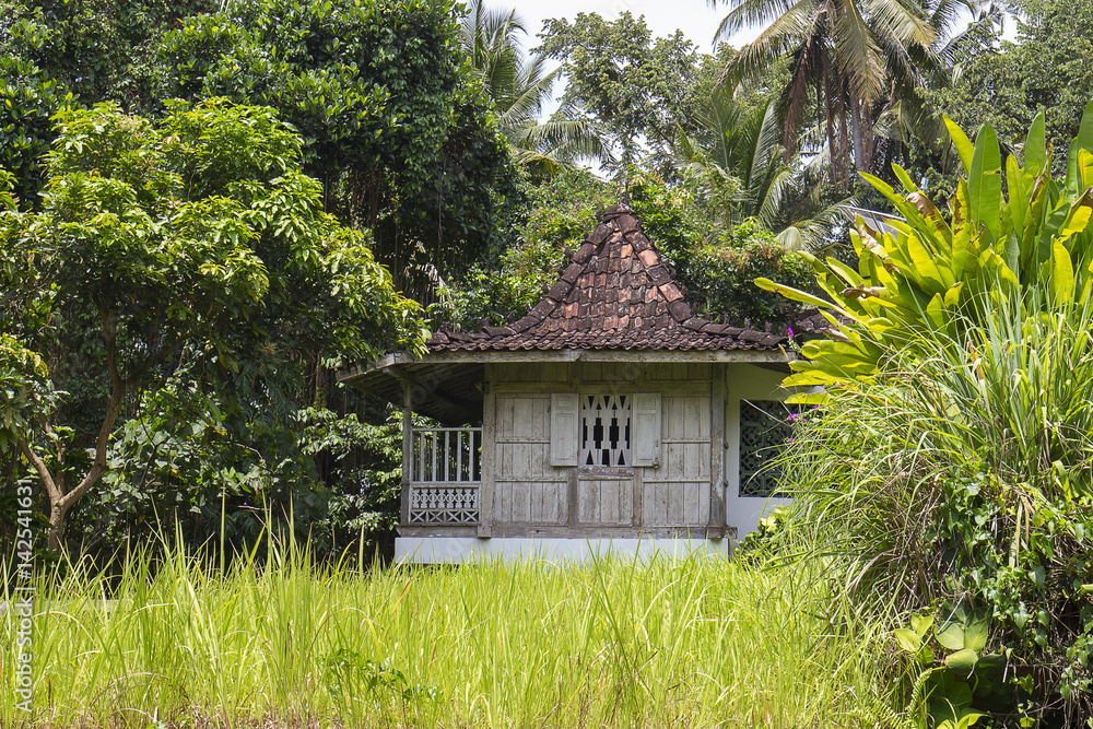 Wooden house with a tiled roof among rice fields. Island Bali, Ubud, Indonesia Wooden house with a tiled roof among rice fields. Island Bali, Ubud, Indonesia