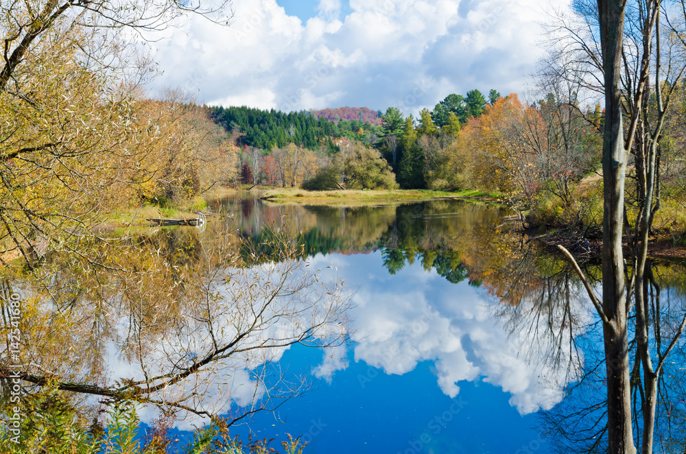 Fototapeta premium Forest lake