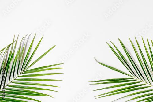 Trendy design with green herbs pattern on white background top view mock up