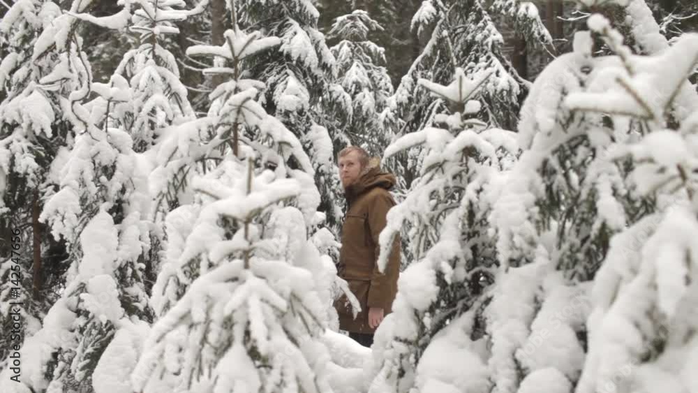 a Man Walks in a Snow-Covered Winter Forest a Man Walks in a Snow-Covered Winter Forest