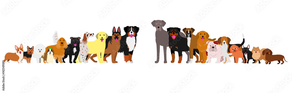 Border of dogs arranged in order of height Border of dogs arranged in order of height