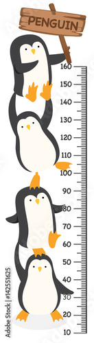 Meter wall with penguin.illustration.