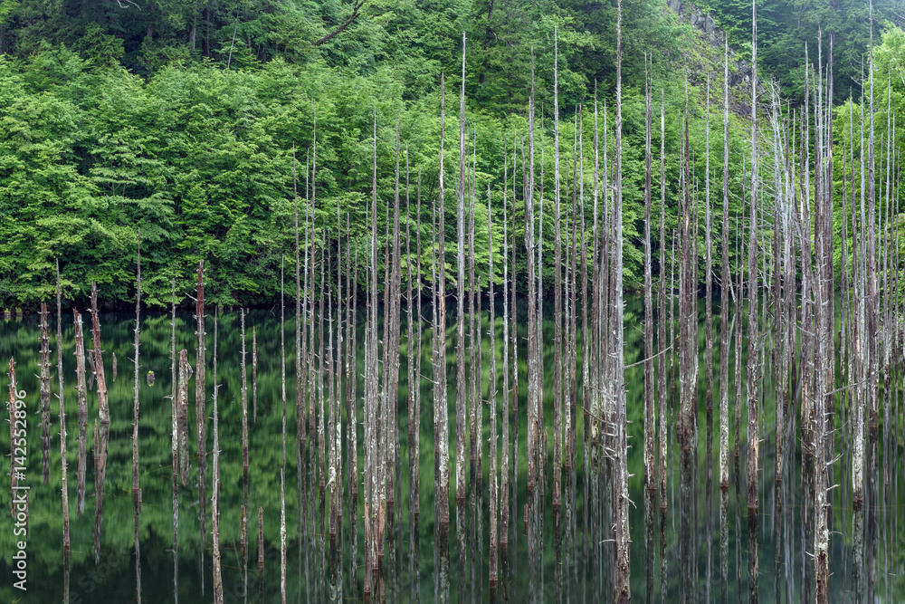 Obraz premium Prefektura Nagano Otaki Village Naturalne jezioro