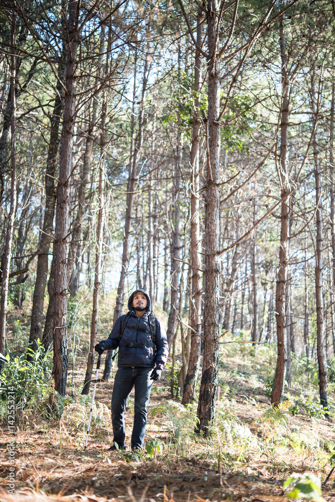 Young Man Traveler with backpack relaxing outdoor with pine forest mountains on background, Hike concept. Young Man Traveler with backpack relaxing outdoor with pine forest mountains on background, Hike concept.