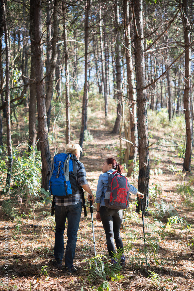 Fototapeta premium Hiking Couple backpacker in the pine forest.