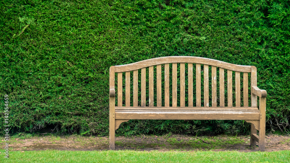 Bench with green pine bush